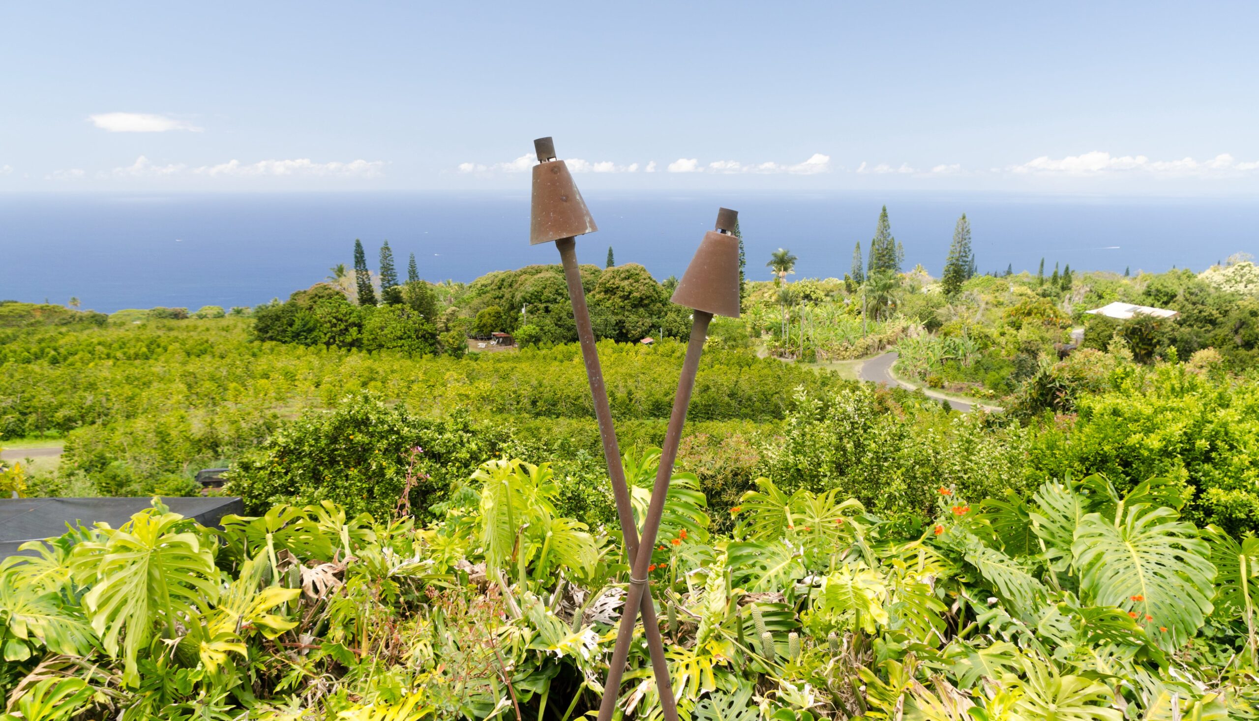 Photo of Hawaii, two tiki torches crossed over each other overlooking a plant covered hillside.